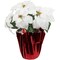 Northlight 14.5" White Artificial Christmas Poinsettia with Red Wrapped Base